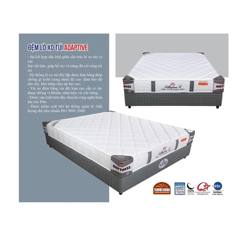 Đệm Lò xo Cối ADAPTIVE - Nệm Lò Xo Đệm Khang Duy Hỗ Trợ Và Nâng Đỡ Cột Sống Chống Vi Khuẩn Côn Trùng Nấm Mốc