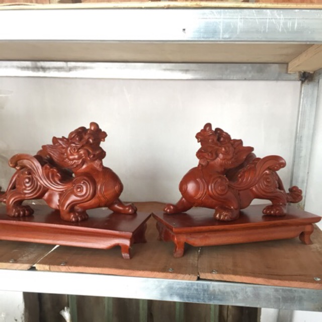 Cặp tỳ hưu 308