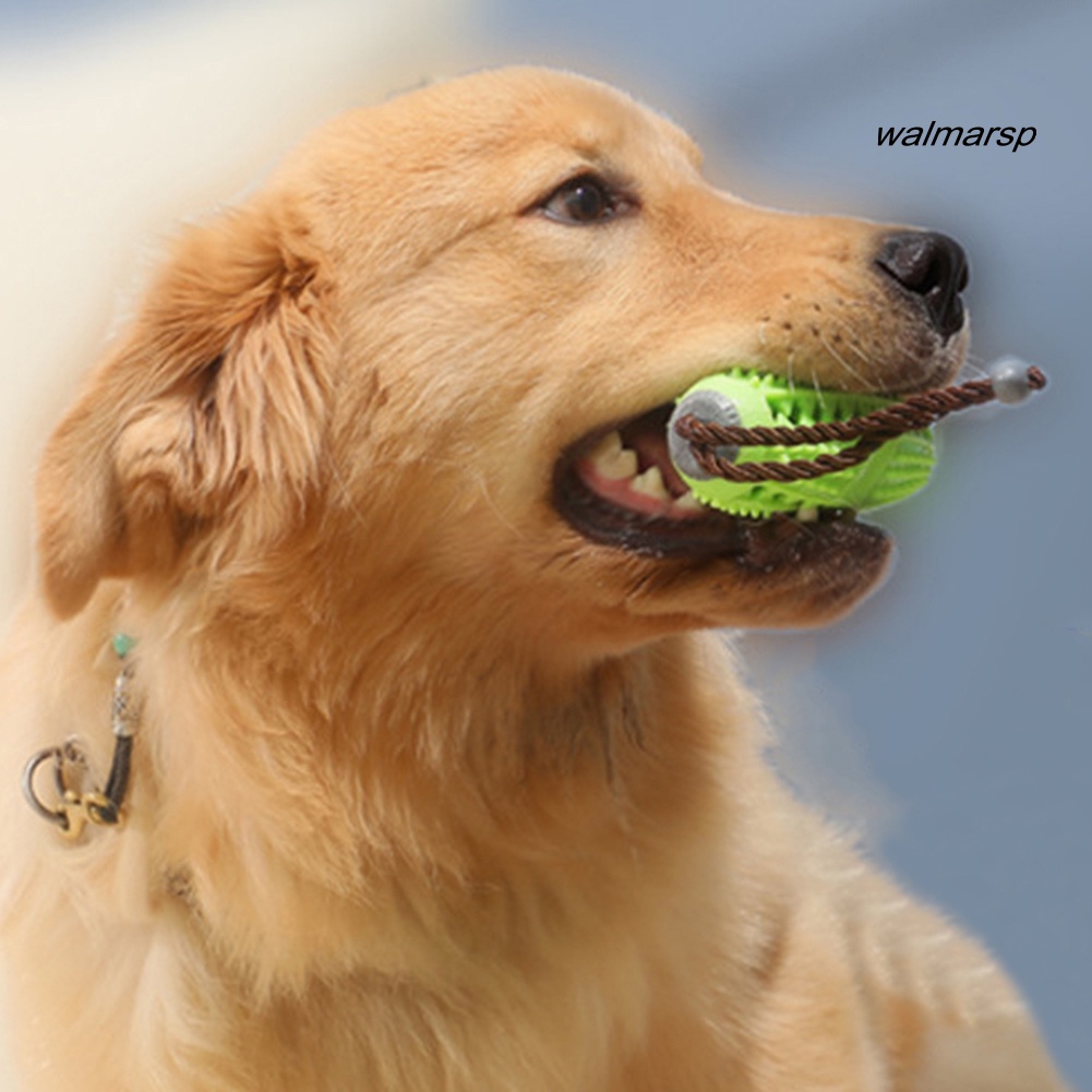 Đồ Chơi Nhai Gặm Co Giãn Hình Quả Bóng Bầu Dục Cho Thú Cưng