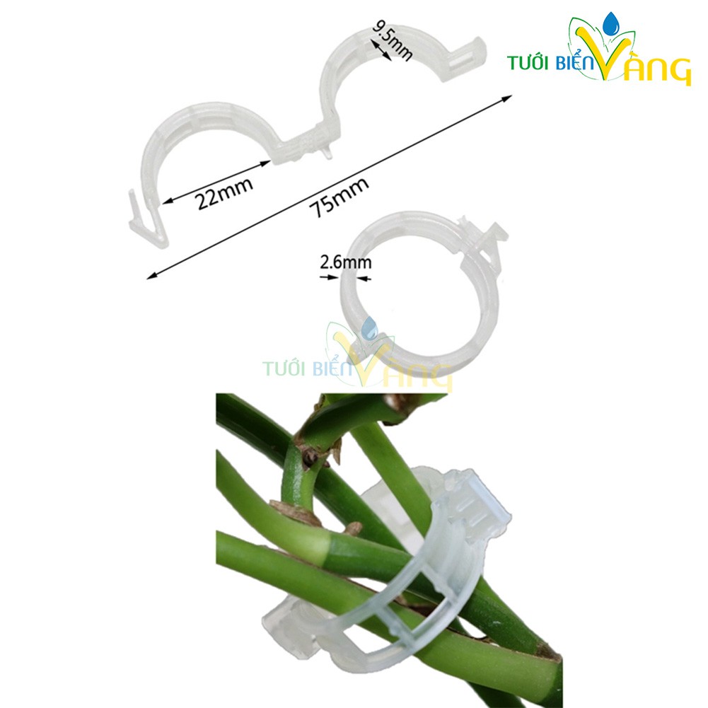 10 kẹp nhựa cố định cành cây