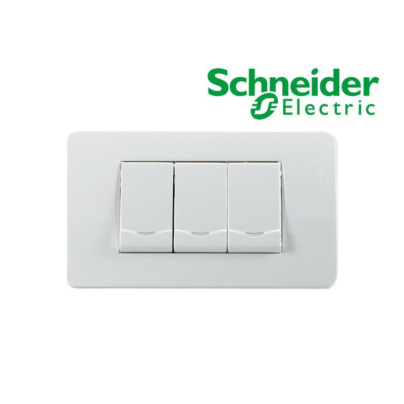 Công tắc ổ cắm, mặt Schneider Concept series