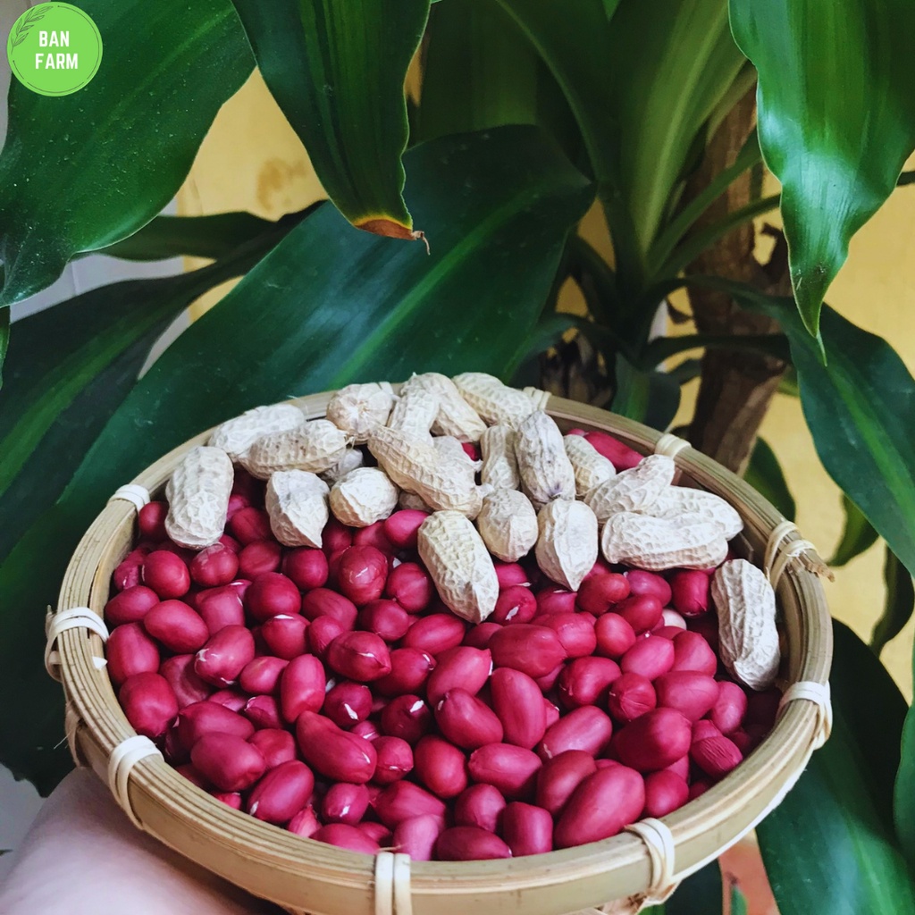 Đậu phộng đỏ  Banfarm đặc sản - thơm bùi béo 500g