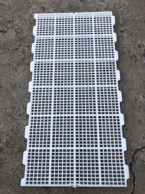 Sàn nhựa gia cầm 0.5x1m lỗ vuông nhỏ