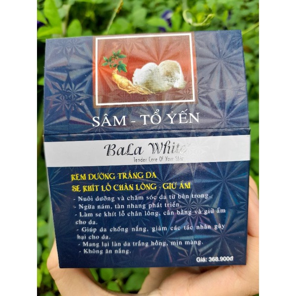 Kemmm Bala White Sâm, Tổ Yến VIP 10