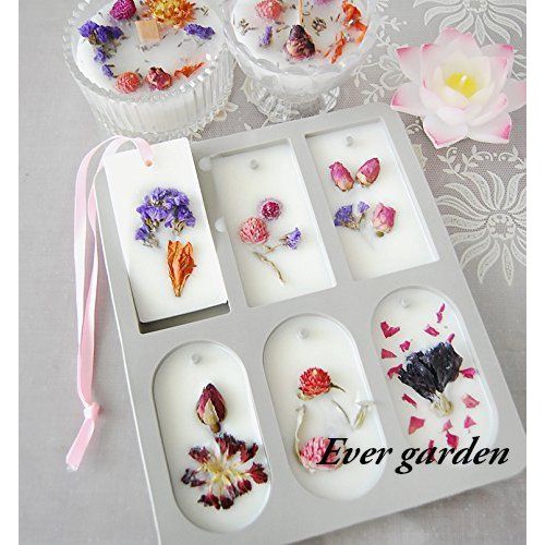 Hoa Forget Me Not Tự Nhiên Sấy Khô - Nguyên Liệu Handmade, Nến Thơm