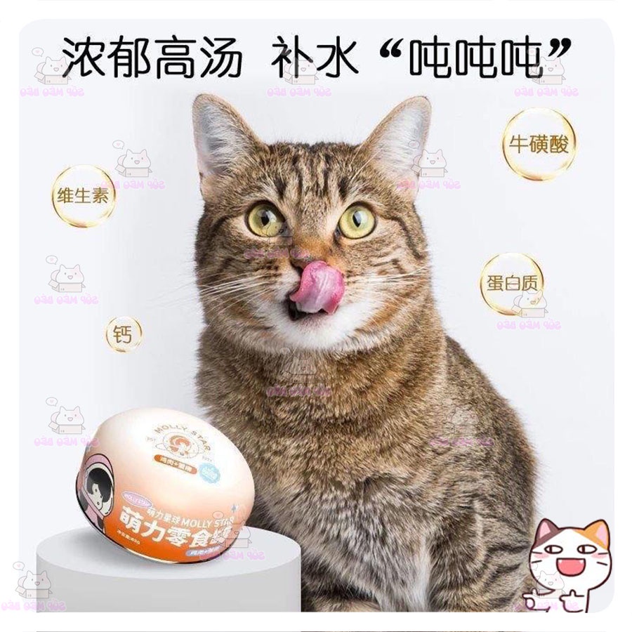 Pate thịt Molly 85gr giúp bữa ăn ngon miệng cho Mèo