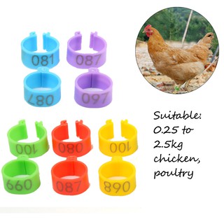 100 chiếc hoặc 50 chiếc / túi vòng kẹp chân đường kính bên trong 16mm đồ dùng trang trại vòng đeo chân vòng 6 màu ngỗng gà nhựa 001-100 vịt được đánh số thiết bị chim / nhiều màu