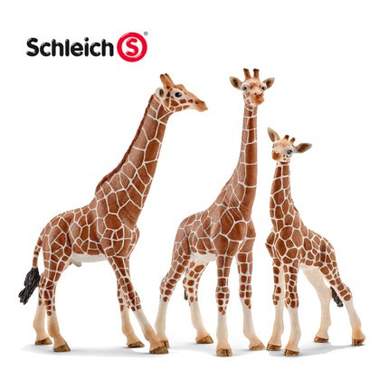 Mô hình Hươu cao cổ đực SCHLEICH 14749