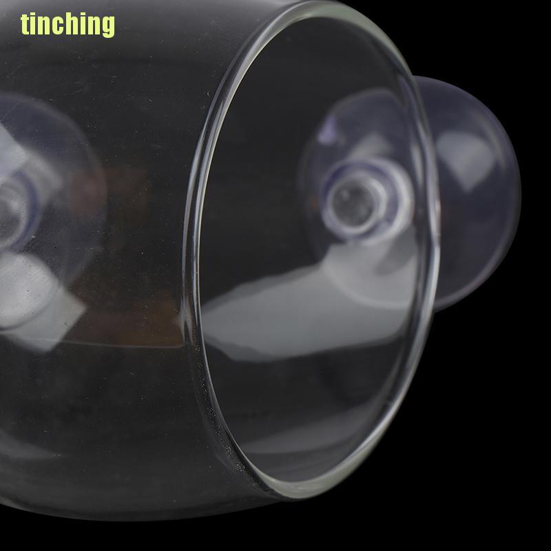 Bộ 1 Cốc Thủy Tinh Mini Cho Trồng Cây