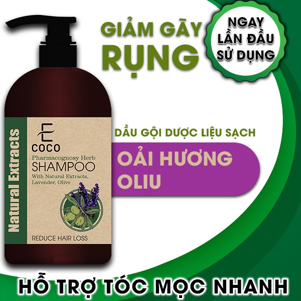 Dầu gội dược liệu giảm rụng tóc Ecoco với chiết xuất oải hương, ô liu