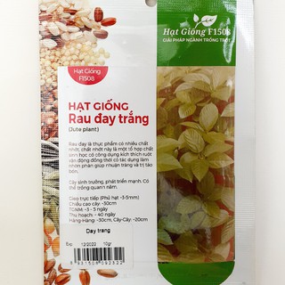 Hạt giống rau đay trắng