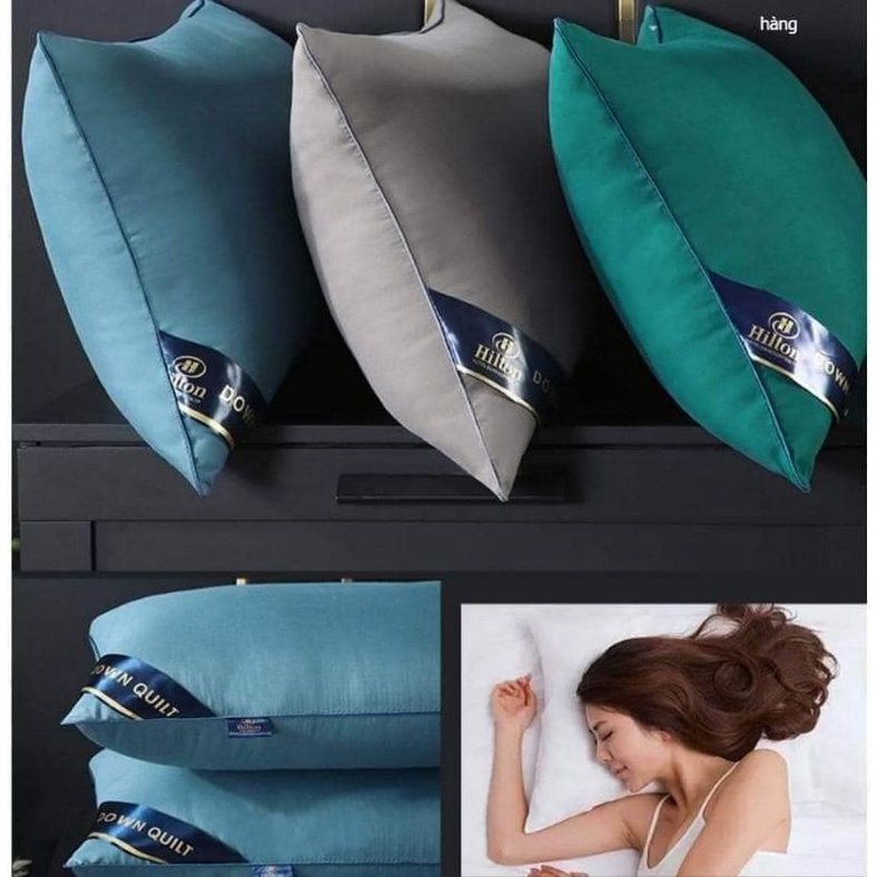 Ruột gối đầu cao cấp Pillow Hilton Ép Hơi, Có Khoá Kéo - Nhiều Màu Tiêu Chuẩn 5* - Kích Thước 45x65cm