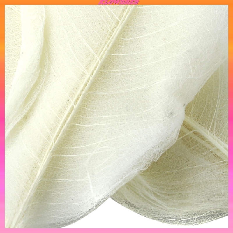 Set 2 / 50 Lá Mộc Lan Tự Nhiên Màu Trắng Trang Trí Sổ Tay