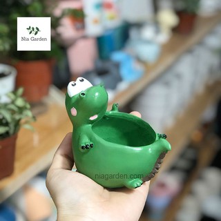 Chậu cây cá sấu xanh trồng sen đá, lá cẩm nhung