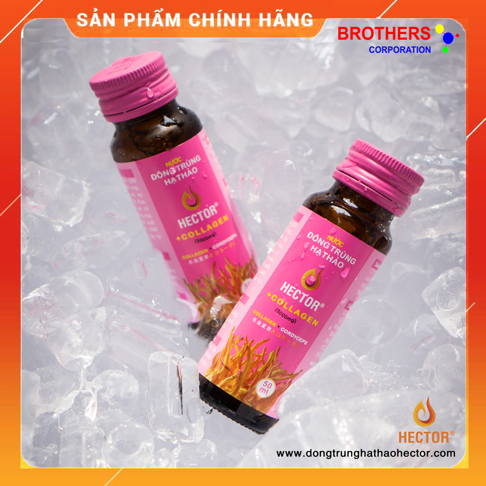 [Chính hãng] Nước Đông Trùng Hạ Thảo Hector Collagen (Hộp 10 chai x 50ml)