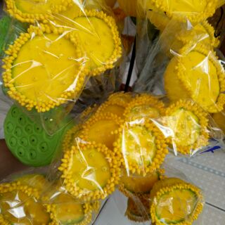 Nguyên liệu làm hoa sen handmade