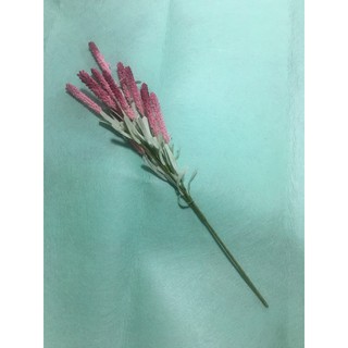 HOA LAVENDER TRANG TRÍ