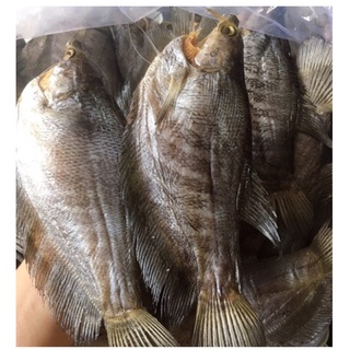 1 kg (10-14 con) khô cá sặc bổi to ngon như hình ( shop đảm bảo)
