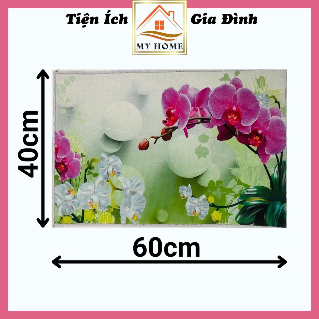 Thảm lau chân 3D, thảm chùi chân phòng khách họa tiết cực đẹp, kích thước 40x60cm