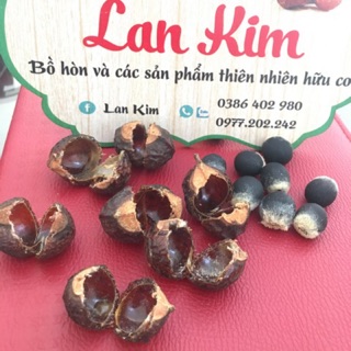 Bồ hòn loại 1