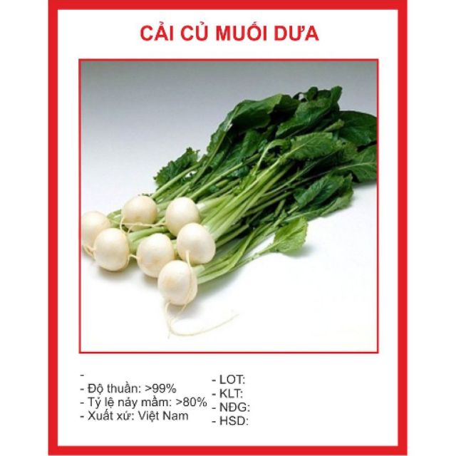 Hạt giống Củ Cải Trắng tròn muối dưa 50gr