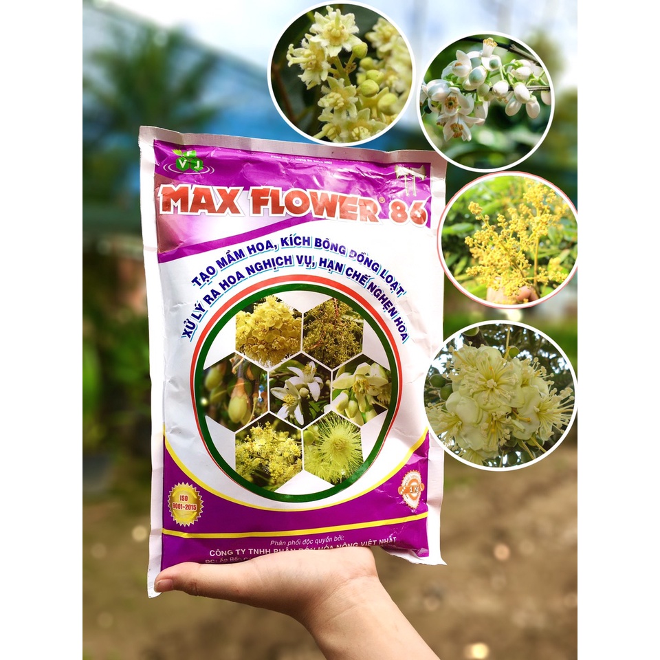 Phân Bón Kích Bông Max flower 86 Gói 1kg - Kích Bông Đồng Loạt, Tạo Mầm Hoa, Xử Lý Ra Hoa Nghịch Vụ, Hạn Chế Nghẹn Hoa