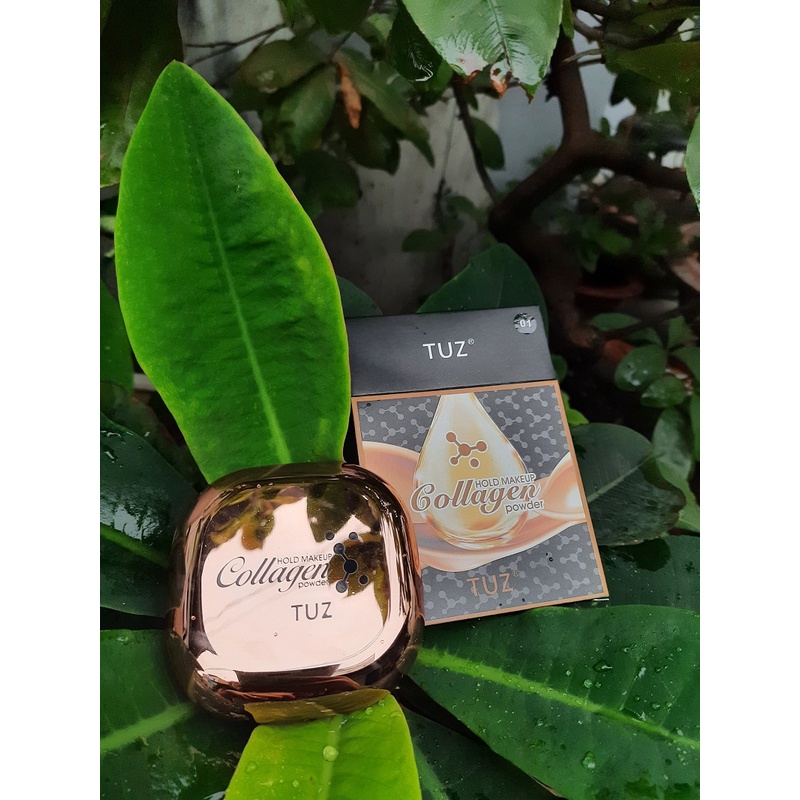 Phấn Phủ Kiềm Dầu Collagen Hold Makeup Powder 2 tầng 30gram kèm gương và bông mút