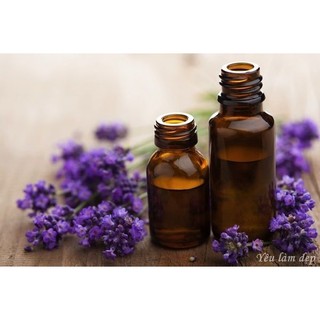 Tinh dầu Oải hương Spike (Lavender spike)