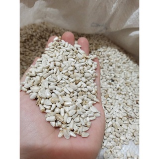 Hạt Kham Trắng Cho chim, Vẹt, Hamster