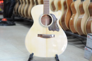 Đàn Guitar Acoutic HD-220