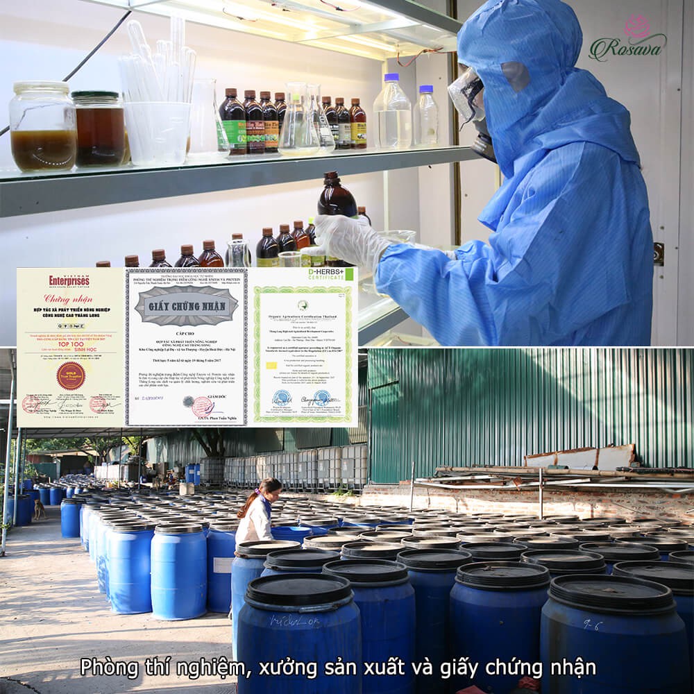 Phân bón hữu cơ vi sinh kích thích ra hoa ROSAVA cho cây cảnh, hoa hồng, hoa giấy, hoa lan, sen đá