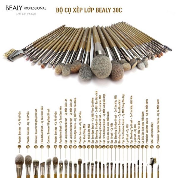 Cọ lẻ xếp lớp Bealy nâu từ số 01 đến 20