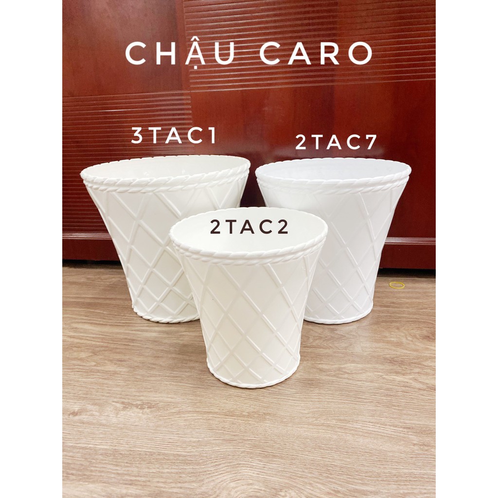 chậu nhựa caro
