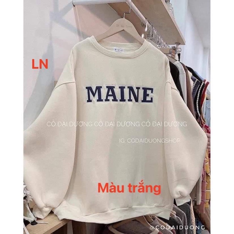 Áo MAINE bo gấu TH6