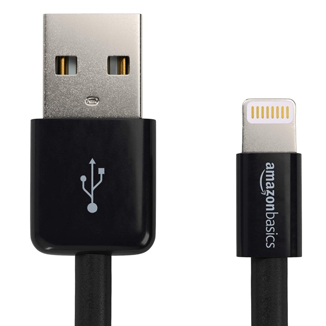 Cáp Iphone AmazonBasics Lightning 10cm
