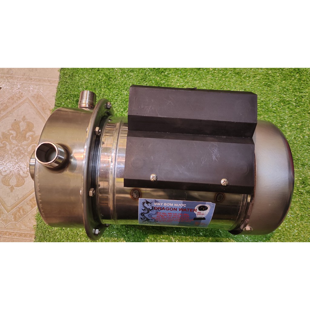 Máy bơm đầu kép inox 304 hút giếng khoan