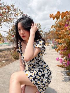 Đầm hoa cúc