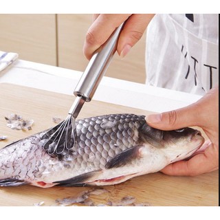 Dụng cụ đánh vẩy cá , nạo cùi dừa , cà rốt đa năng