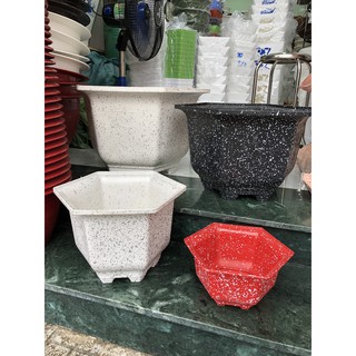 Chậu nhựa lục giác Mai đá