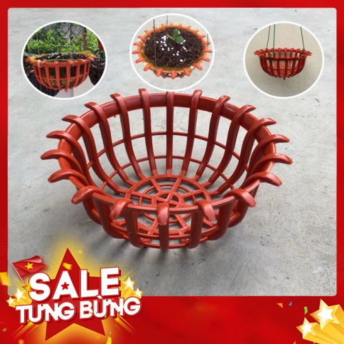Chậu lan dáng sen phi 23