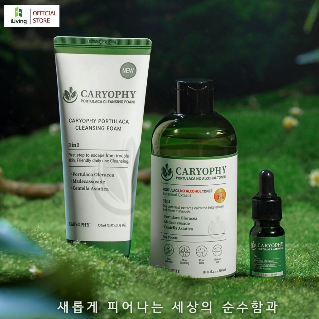 Combo dưỡng da giảm mụn mờ thâm Caryophy ( Sữa rửa mặt 30ml + Toner 50ml + Serum 10ml) ILIVING-CARCBMNSRMTNSR10