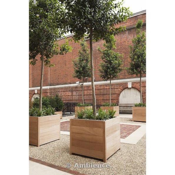 (Giá Xưởng) Chậu trồng cây gỗ thông nhập khẩu trống ngấm nước I Decor, tiểu cảnh, trang trí nội ngoại thất, ban công