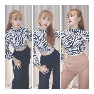 set áo dài tay quần ống loe