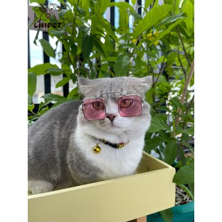 Mắt kính thời trang cho thú cưng LINPET