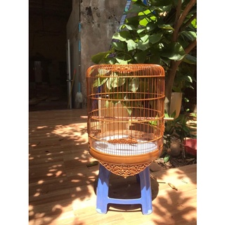 Lồng Đục Choè Than from cao (sz 42)