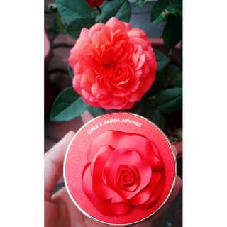 Phấn Ohui phiên bản hoa hồng kèm lõi