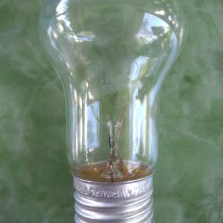 Đèn máy ấp trứng - bóng trong suốt