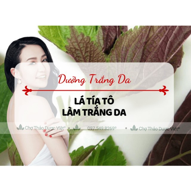 Tía tô khô, thơm, sạch 500g ( Trà tía tô sấy khô, nguyên liệu nấu nước xông giải cam) - Chợ Thảo Dược Việt