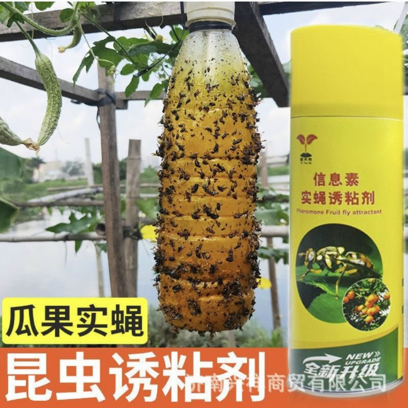 Keo xịt bẫy ruồi vàng QB 450ml