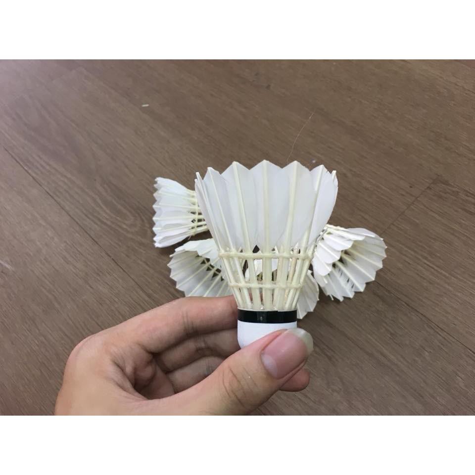 Ống Cầu Lông Hải Yến Cao Cấp 6 quả (Đỏ Ngắn) Hàng Việt Nam Chất Lượng Cao, Được Sử Dụng Trong Luyện Tập Và Thi Đấu